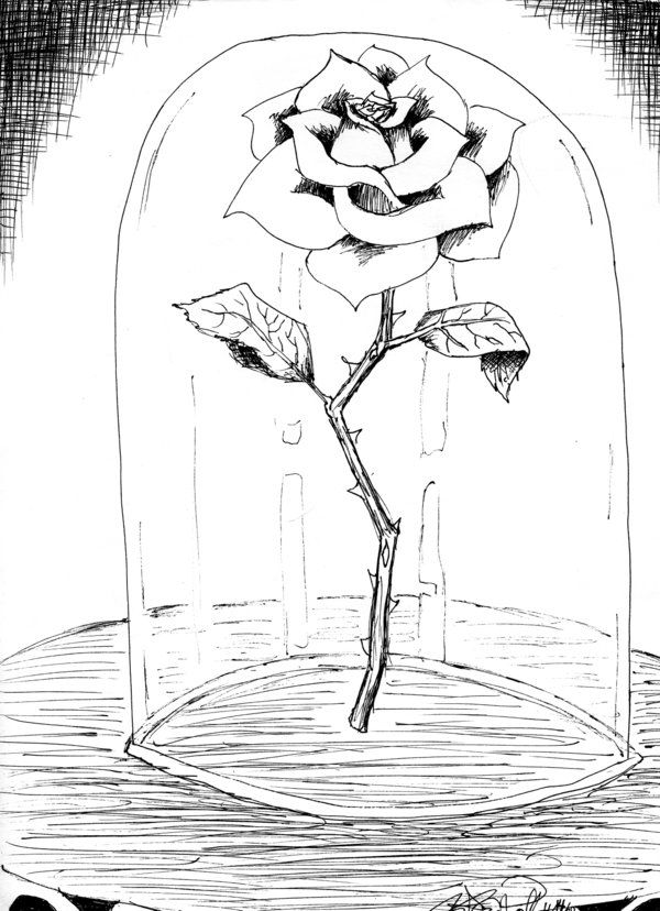 Featured image of post Drawing Beauty And The Beast Rose