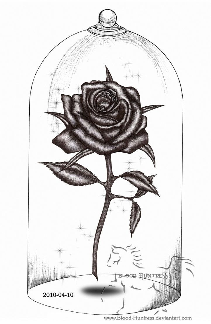 Featured image of post Pencil Beauty And The Beast Rose Drawing