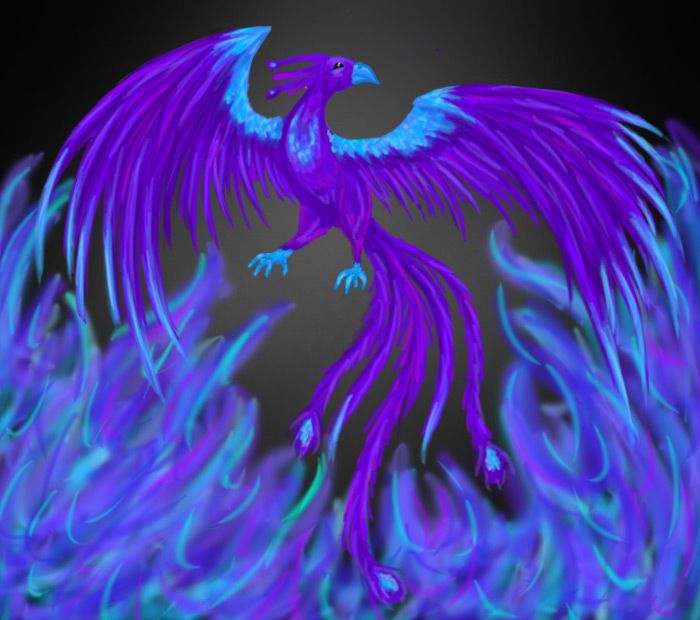 Featured image of post Phoenix Bird Blue And Purple