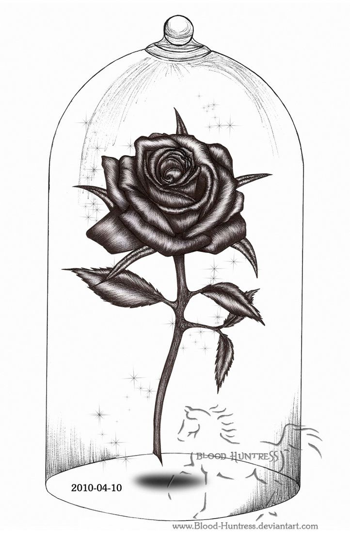 Featured image of post Realistic Beauty And The Beast Rose Drawing